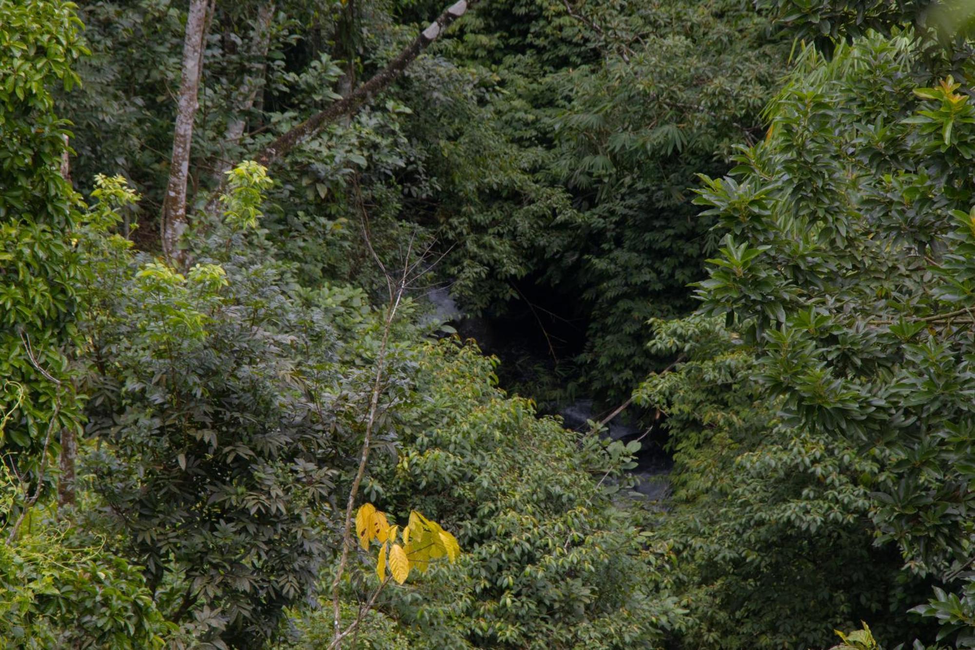 Goa Walet Cottage ปรายา ภายนอก รูปภาพ