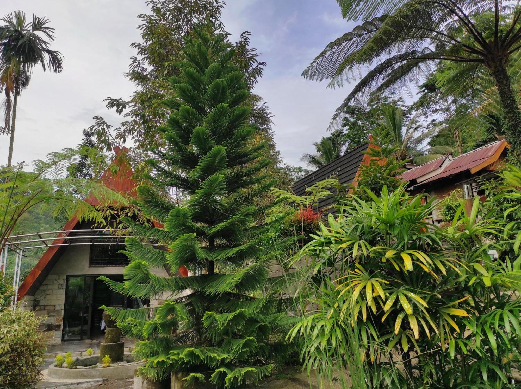Goa Walet Cottage ปรายา ภายนอก รูปภาพ